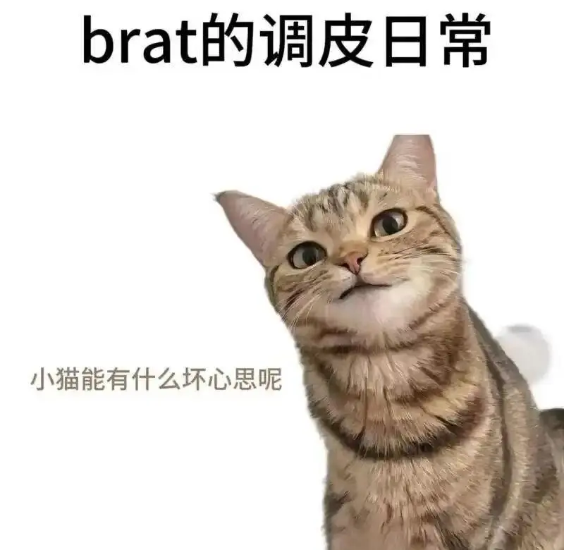 西檬之家-ddlg是什么？字母圈新人必知的DDLG关系指南