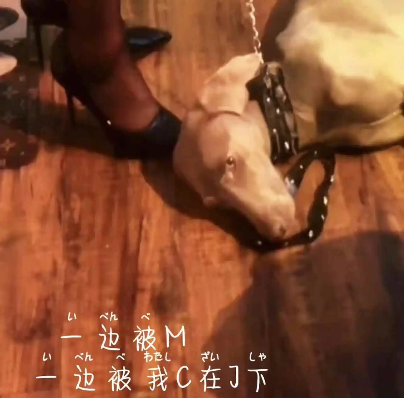 【西檬之家】Spank实践指南：字母圈新人必修的安全课