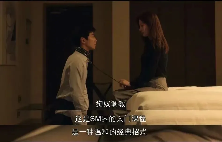 【西檬之家】字母圈S是什么？BDSM新人权威入门指南
