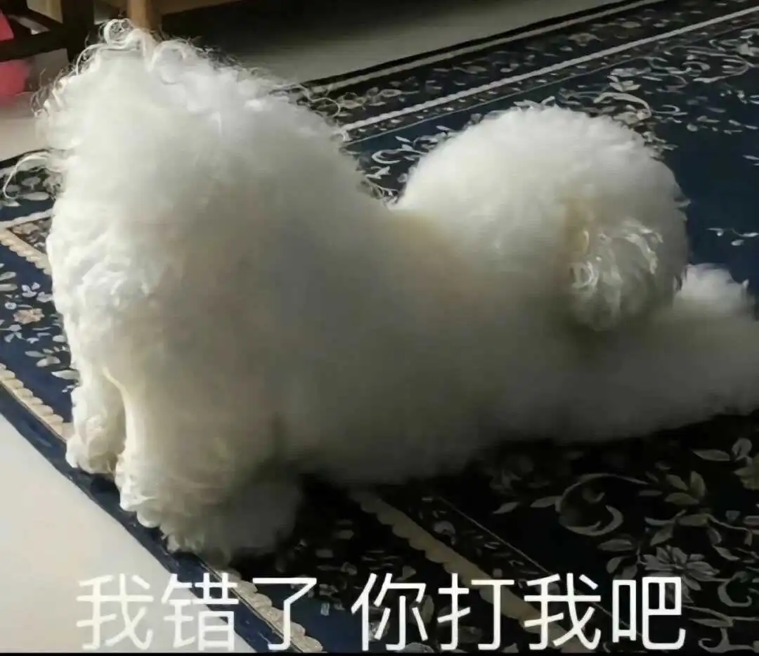 S倾向：实用指南