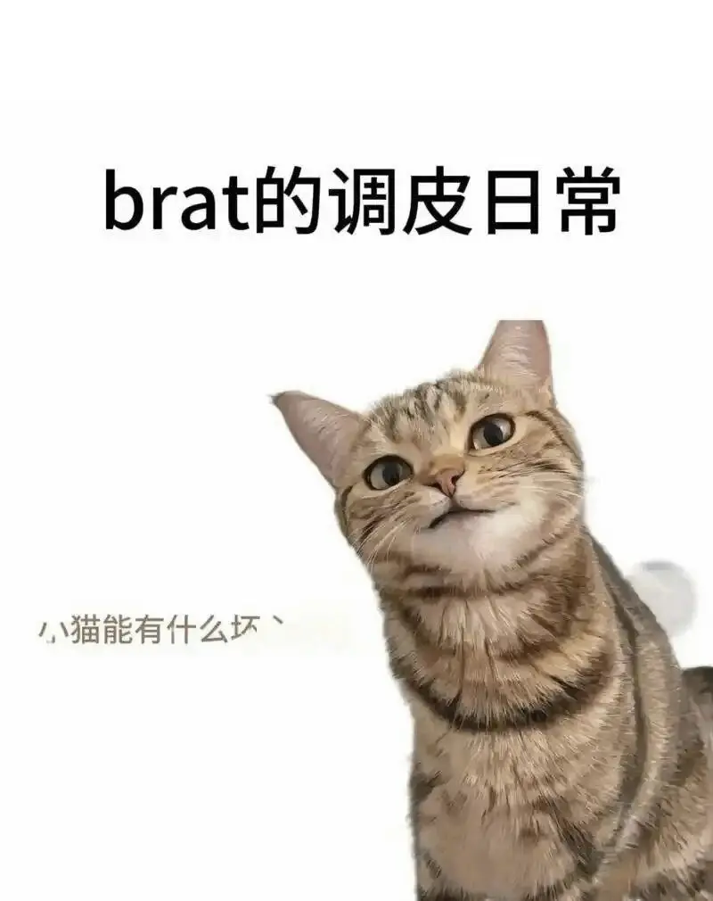 西檬之家-字母圈的aftercare是什么，BDSM新人必读指南