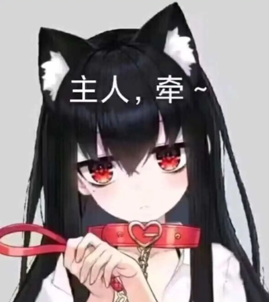 【西檬之家】字母圈新人入圈指南